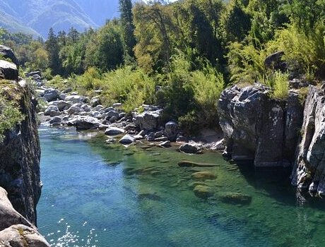 oficinas de buses setter en linares